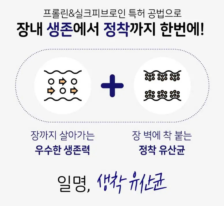 락토핏 코어맥스 프롤린 배양 공법과 실크 피브로인 코팅 공법 설명